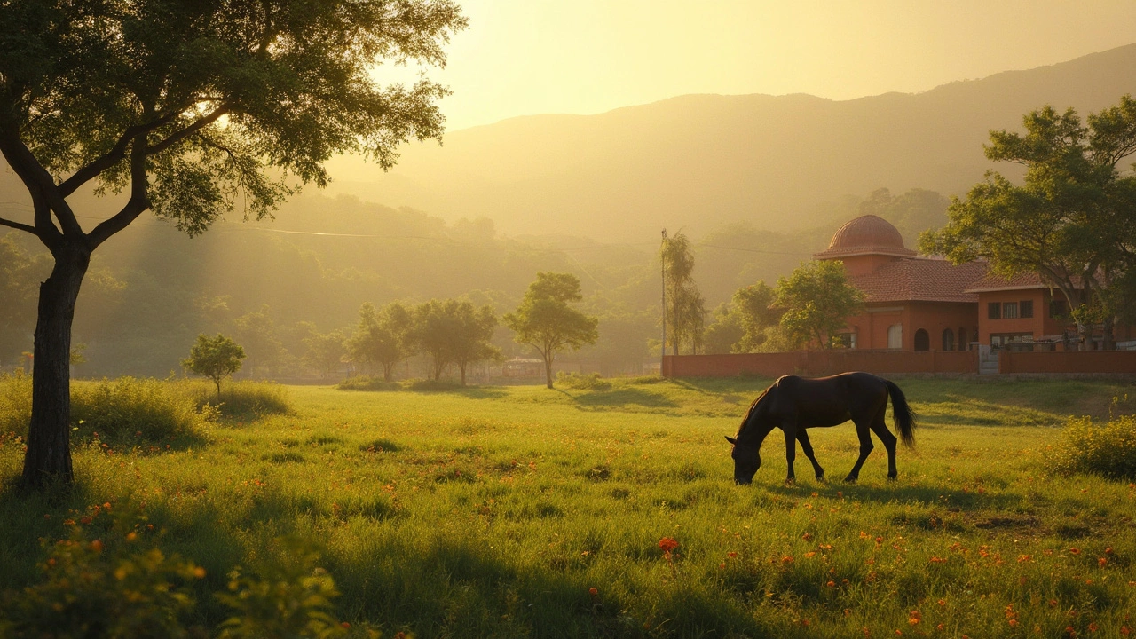 How Many Acres Do You Need for a Horse? Real-Life Land Tips