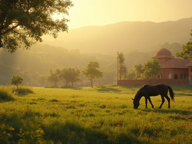 How Many Acres Do You Need for a Horse? Real-Life Land Tips